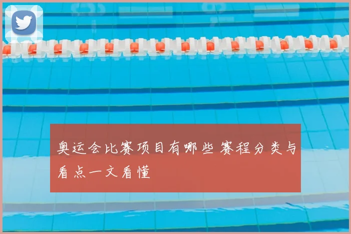 奥运会比赛项目有哪些 赛程分类与看点一文看懂