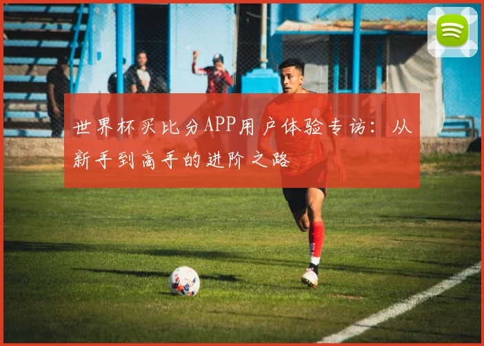 世界杯买比分APP用户体验专访：从新手到高手的进阶之路