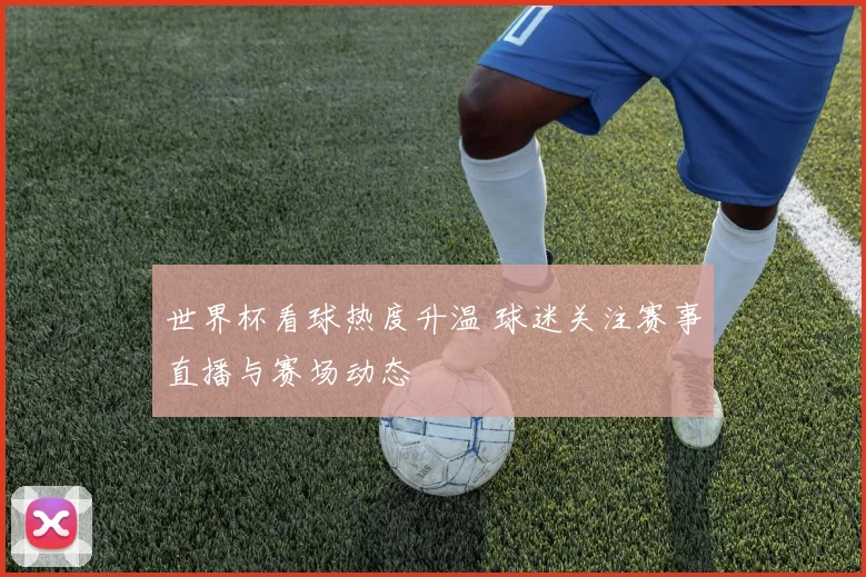 世界杯看球热度升温 球迷关注赛事直播与赛场动态