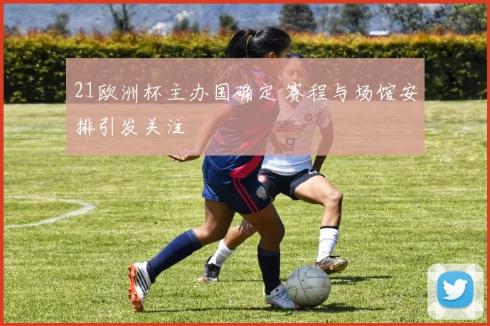 21欧洲杯主办国确定 赛程与场馆安排引发关注