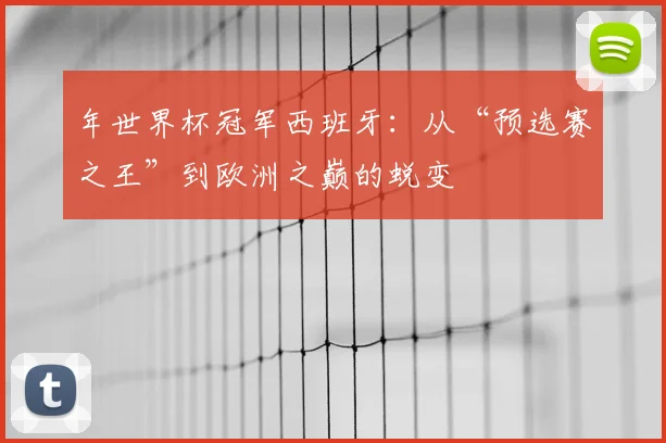 年世界杯冠军西班牙：从“预选赛之王”到欧洲之巅的蜕变