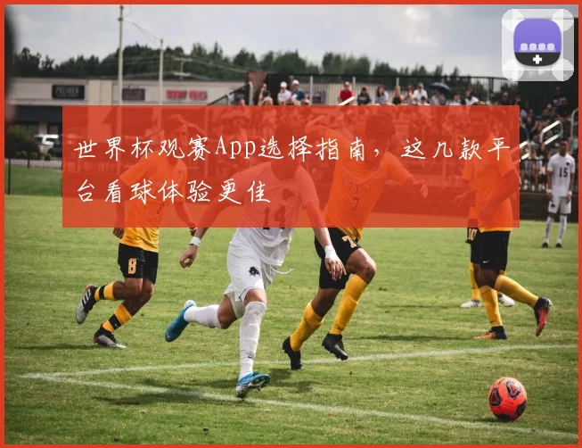 世界杯观赛App选择指南,这几款平台看球体验更佳