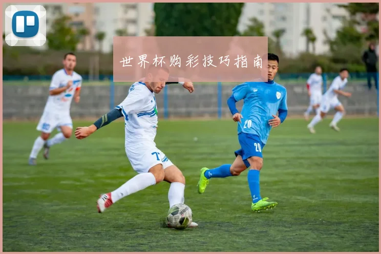 世界杯购彩技巧指南