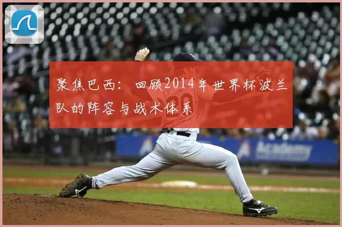聚焦巴西：回顾2014年世界杯波兰队的阵容与战术体系