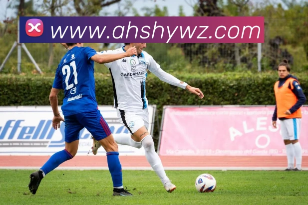 开云手机入口官网平台生态图