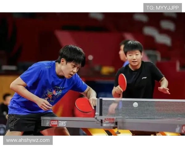 成都乒乓球队的团队协作之道揭秘与巨献乒乓球的魅力与精神