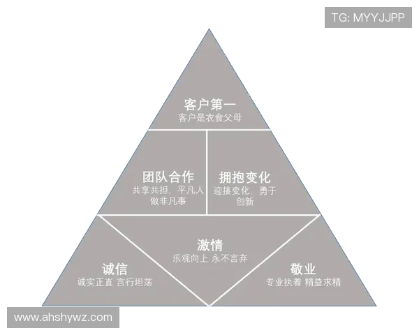成都羽毛球队在冠军赛中的心理素质表现分析与启示