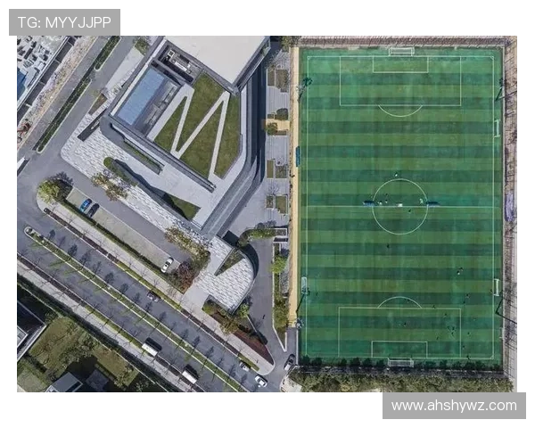 杭州足球队运营新模式探讨与发展前景分析