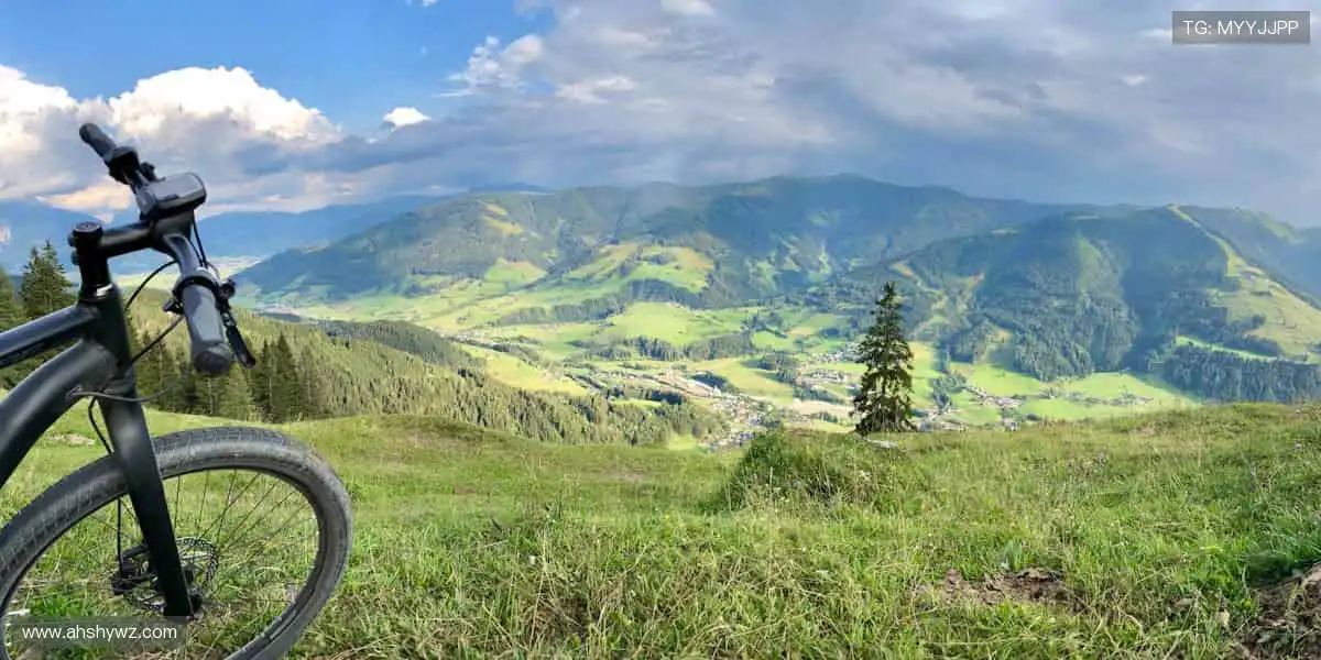 全球赛事同步追，精彩瞬间不错过！🌍⏯️